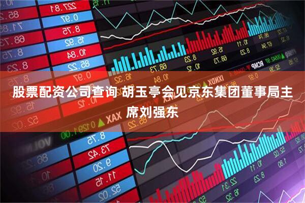 股票配资公司查询 胡玉亭会见京东集团董事局主席刘强东