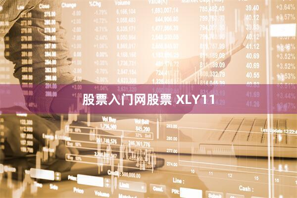 股票入门网股票 XLY11